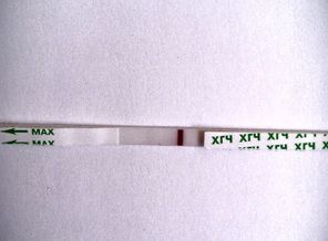 IMAG1975-1-1