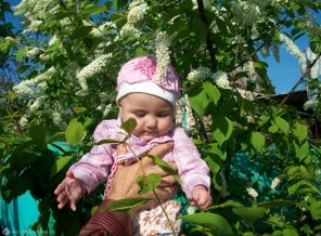 Ну что, погадаем?
