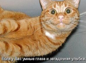 4Image