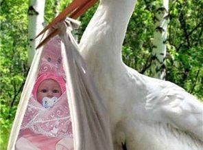 getImage