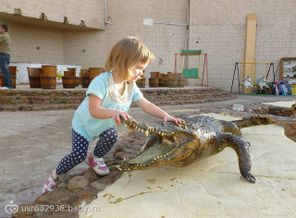 getImage (32)