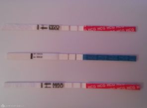 DSCN3049