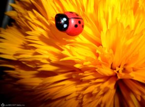 SAM_1409