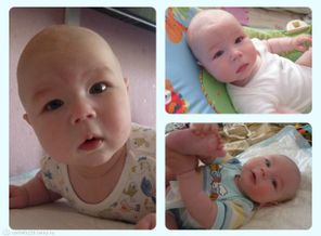 PicMonkey Collage