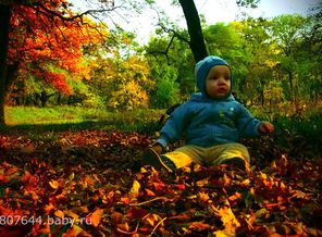 getImage (2)