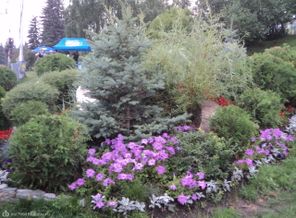 DSC05695
