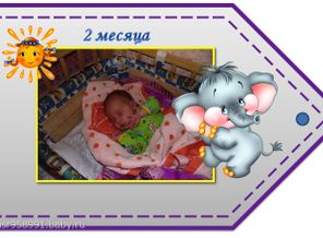 2 месяца