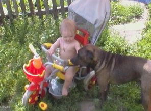 SAM_0703