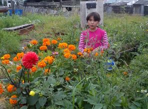 клумба