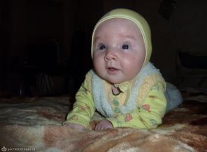 учусь ползать..ведь я совсем еще маленький!!!.готовлюсь к следующей зиме...