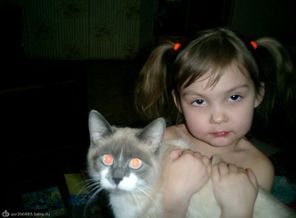 CIMG0082