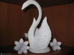 IMG_1346