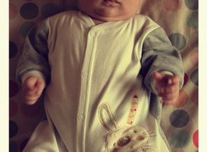 GFRANQ_GROZAK1993_7018536
