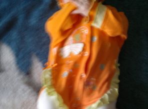 2013-05-04-516