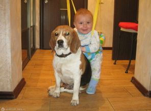 IMG_0831i