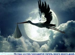 757a6fb6a4bae08ade49fc65903fc301