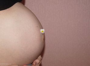 33 недельки