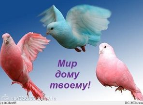 1458179000af3f89d020b8d6bad5a34949f0859967