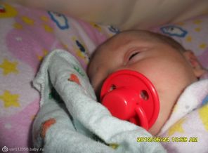 SAM_0625