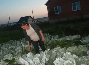 SAM_0730