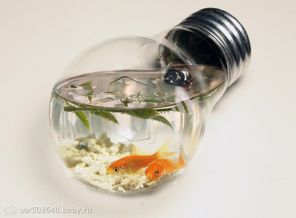 68011528_1292627697_Aqua_Bulb_Vol_2_by_mceric