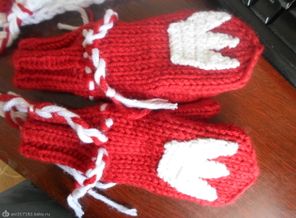 SAM_0484