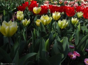 IMG_9197