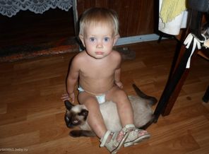 Я- котенок, а это моя мама кошка!