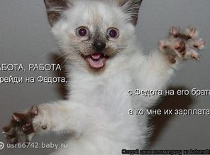 frLZtdJv65k (1)