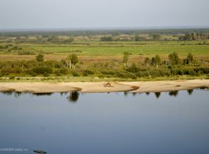 _DSC4005