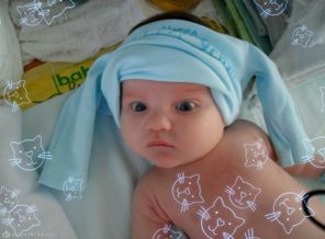 SAM_0949