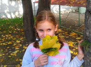 осень 2012