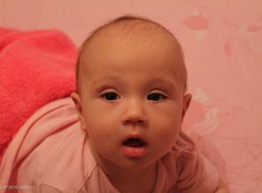 IMG_4396