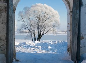 IMG_7345 копия
