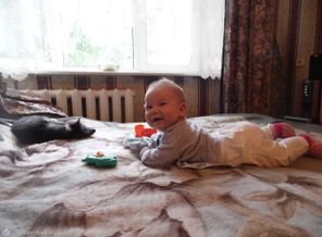 SAM_0700