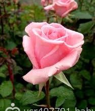 images (21)