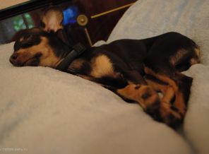 DSC_0551