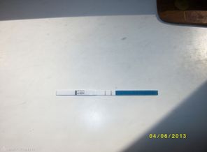 IMGP4772