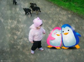 P1010029