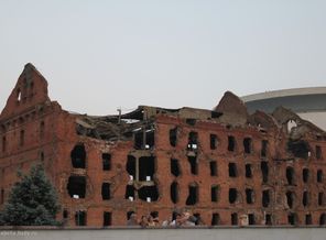 IMG_8955