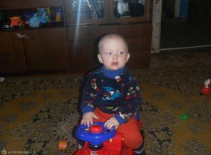 SAM_2647