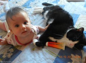 всегда с котом вместе несмотря на алергию!!!