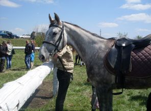 Грация, соревнования 2012