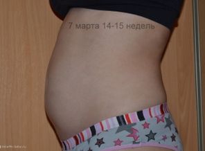 14-15 недель