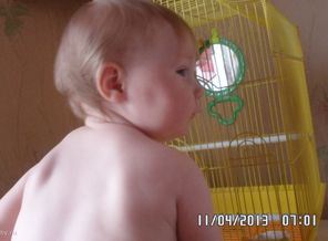 SAM_1377