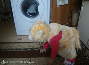 львенка луше не злить