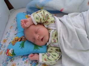 SAM_0282