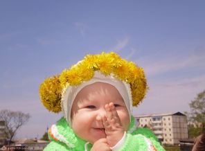 мои первые одуванчики!!!