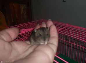 DSCF2827