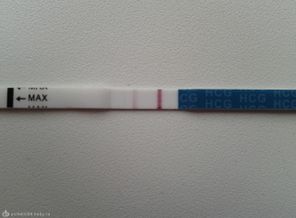 2012-10-19 15.13.26